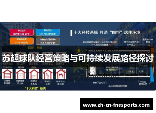 苏超球队经营策略与可持续发展路径探讨
